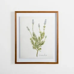 Framed Art-Kirkland's Home Golden Leaves Herbs Lavender Framed Art Print White/Green