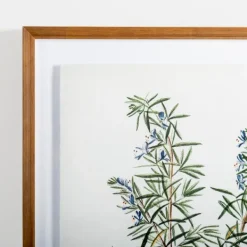 Framed Art-Kirkland's Home Golden Leaves Herbs Rosemary Framed Art Print White/Green