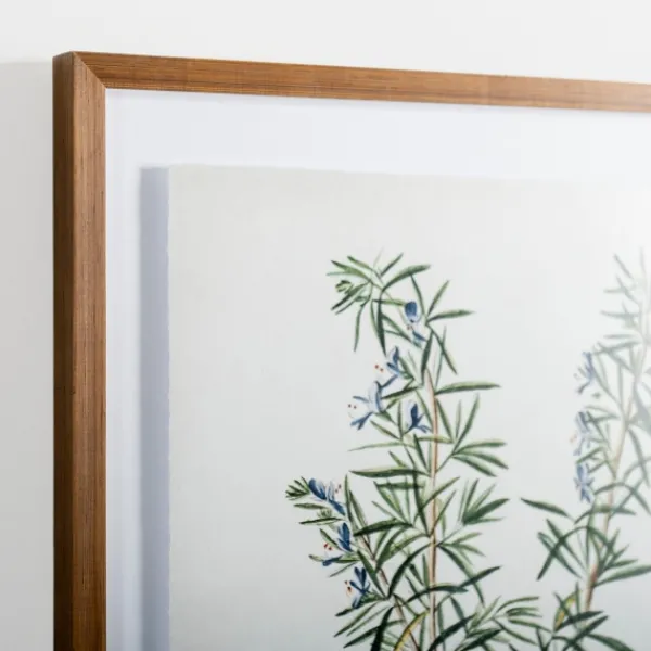 Framed Art-Kirkland's Home Golden Leaves Herbs Rosemary Framed Art Print White/Green