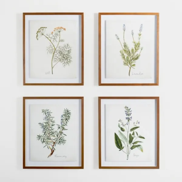 Framed Art-Kirkland's Home Golden Leaves Herbs Rosemary Framed Art Print White/Green