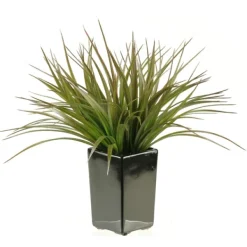 Arrangements & Greenery-Kirkland's Home Grass Arrangement In Black Ceramic Planter Green