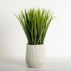 Arrangements & Greenery-Kirkland's Home Grass Arrangement In Cement Pot Green/Gray