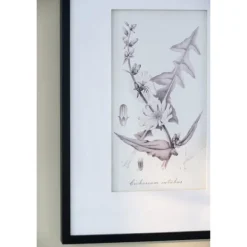 Framed Art-Kirkland's Home Gray And Cream Foliage 4-Pc. Framed Wall Art Set Gray/White