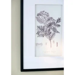 Framed Art-Kirkland's Home Gray And Cream Foliage 4-Pc. Framed Wall Art Set Gray/White