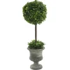 Trees & Topiaries-Kirkland's Home Gray Boxwood Pedestal Urn Topiary, 2 Ft.