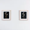Framed Art-Kirkland's Home Green Botanicals Framed Art Prints, Set Of 2 Black/Green/White