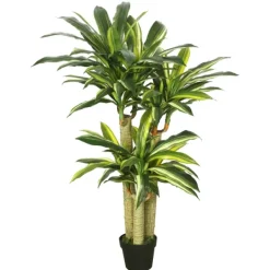 Trees & Topiaries-Kirkland's Home Green Dracaena Tree In Black Planter