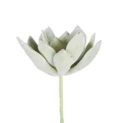 Stems & Bouquets-Kirkland's Home Green Echeveria Stems, Set Of 6 Green/White