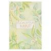 Sachets-Kirkland's Home Green Eucalyptus Mint Sachet