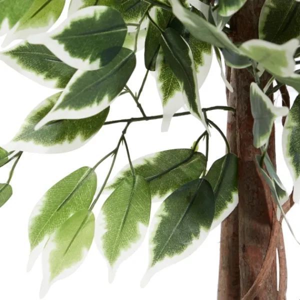 Trees & Topiaries-Kirkland's Home Green Ficus Potted Tree, 73 In.