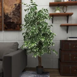 Trees & Topiaries-Kirkland's Home Green Ficus Potted Tree, 73 In.