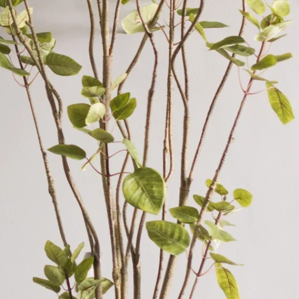 Trees & Topiaries-Kirkland's Home Green Potted Cotinus Coggygria Tree, 6 Ft.