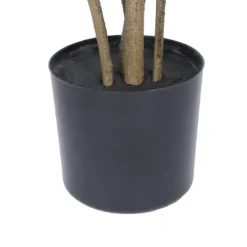 Trees & Topiaries-Kirkland's Home Green Potted Cotinus Coggygria Tree, 4 Ft.