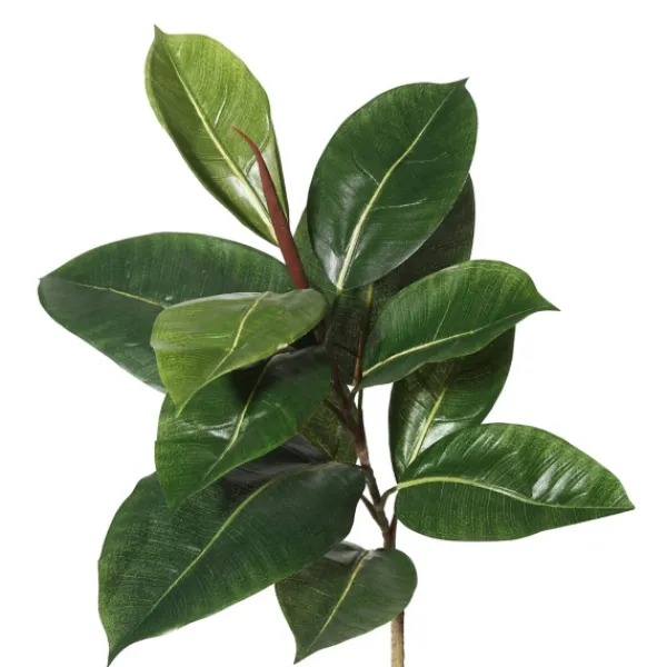 Trees & Topiaries-Kirkland's Home Green Rubber Tree, 6 Ft.