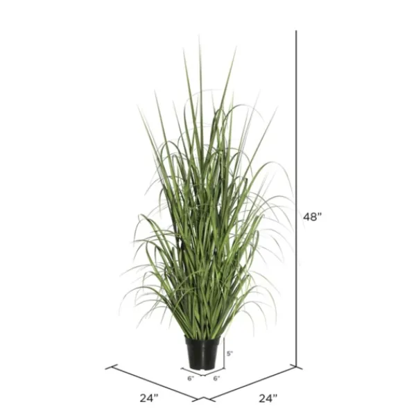Trees & Topiaries-Kirkland's Home Green Ryegrass Potted Plant