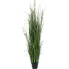 Trees & Topiaries-Kirkland's Home Green Sheep Grass Potted Plant