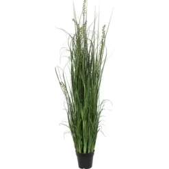 Trees & Topiaries-Kirkland's Home Green Sheep Grass Potted Plant