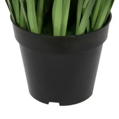 Trees & Topiaries-Kirkland's Home Green Sheep Grass Potted Plant