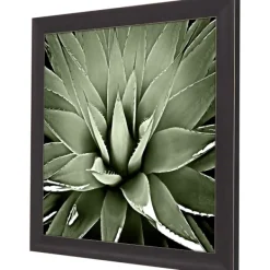 Framed Art-Kirkland's Home Green Succulent Iii Framed Canvas Art Green/White/Black