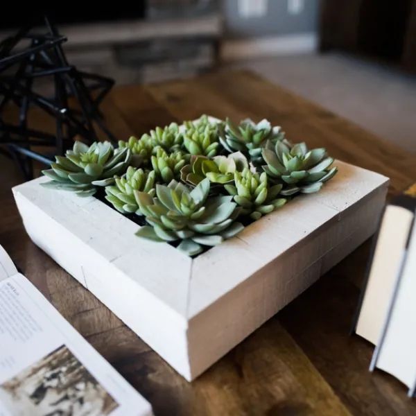 Arrangements & Greenery-Kirkland's Home Green Succulents In White Rustic Planter Green/White