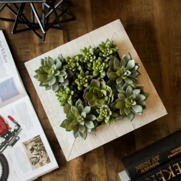 Arrangements & Greenery-Kirkland's Home Green Succulents In White Rustic Planter Green/White