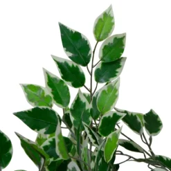 Trees & Topiaries-Kirkland's Home Green Variegated Leaf Ficus Tree