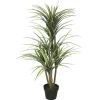 Trees & Topiaries-Kirkland's Home Green Yucca Tree In Black Planter
