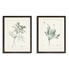 Framed Art-Kirkland's Home Greenery I Framed Art Prints, Set Of 2 Ivory