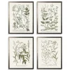 Framed Art-Kirkland's Home Greenery On Cream Back Framed Art Prints, Set Of 4 Green/Ivory