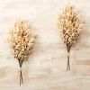 Stems & Bouquets-Kirkland's Home Harvest Berry Bundles, Set Of 2 Ivory