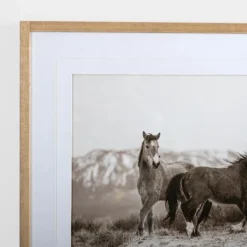 Framed Art-Kirkland's Home Horse Friends Framed Art Print Black/White