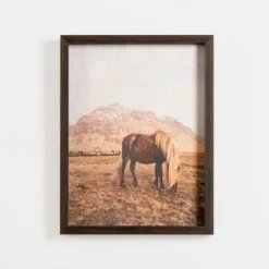Framed Art-Kirkland's Home Horse On Range Framed Art Print Brown/Tan