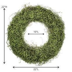 Wreaths-Kirkland's Home Intertwined Vine S Wreath Green