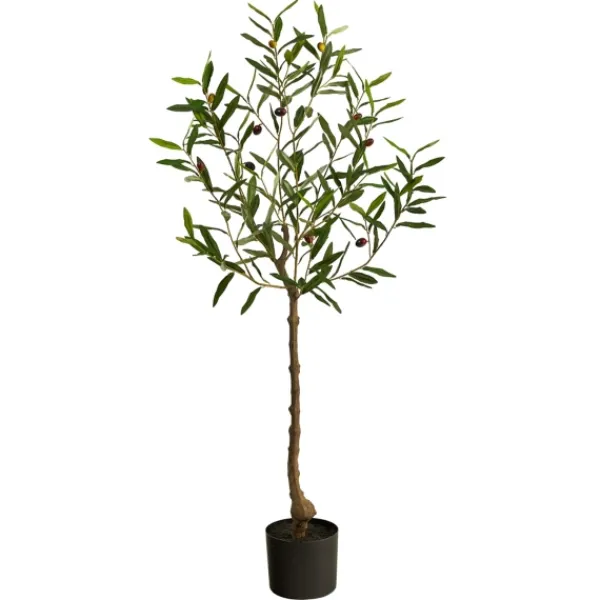 Trees & Topiaries-Kirkland's Home Italian Olive Tree In Black Nursery Planter, 4 Ft.