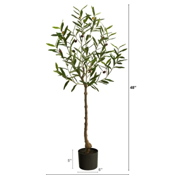 Trees & Topiaries-Kirkland's Home Italian Olive Tree In Black Nursery Planter, 4 Ft.