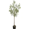 Trees & Topiaries-Kirkland's Home Italian Olive Tree In Black Nursery Planter, 5 Ft.