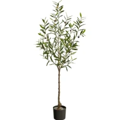 Trees & Topiaries-Kirkland's Home Italian Olive Tree In Black Nursery Planter, 5 Ft.