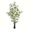 Trees & Topiaries-Kirkland's Home Japanese Bamboo Tree In Black Planter, 6 Ft.