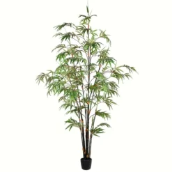 Trees & Topiaries-Kirkland's Home Japanese Bamboo Tree In Black Planter, 6 Ft.
