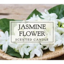 Candles-Kirkland's Home Jasmine Flower Votive Candles, Set Of 8 White