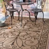 Outdoor Rugs-Kirkland's Home Kathleen Scroll Outdoor Area Rug, 5X7 Brown