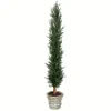 Trees & Topiaries-Kirkland's Home Large Cedar Tree In Mossy White Planter, 60 In.