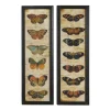 Framed Art-Kirkland's Home Literary Butterflies Framed Art Prints, Set Of 2 Brown/Yellow