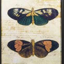 Framed Art-Kirkland's Home Literary Butterflies Framed Art Prints, Set Of 2 Brown/Yellow
