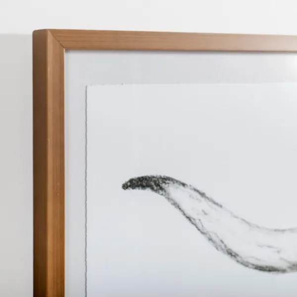 Framed Art-Kirkland's Home Longhorn Skull On Paper Framed Art Print White/Black