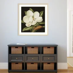 Framed Art-Kirkland's Home Magnolia Grandflora Framed Art Print White/Green/Black