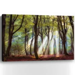 Canvas Art-Kirkland's Home Majestic Morning Giclee Canvas Art Print Green