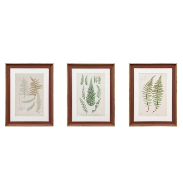Framed Art-Kirkland's Home Martha Stewart Lady Fern Framed Art Print Set Green/White