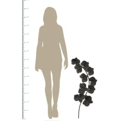 Wall Plaques-Kirkland's Home Matte Orchid Plaque Black