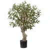 Trees & Topiaries-Kirkland's Home Mediterranean Olive Branch Tree In Black Pot